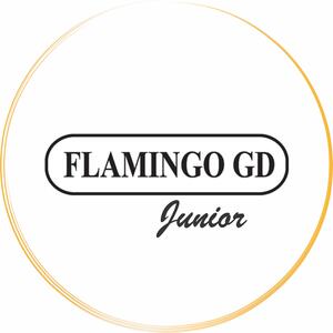 Flamingo Junior