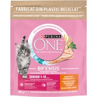 Hrană uscata pisici Purina One Junior Pui 800g