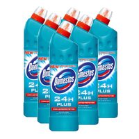 6 x Dezinfectant Domestos Atlantic, 750 ml